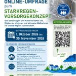 Plakat Online-Umfrage